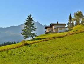 吴兴区花卉租赁站，山草花卉的美丽之旅吴兴区花鸟市场在哪